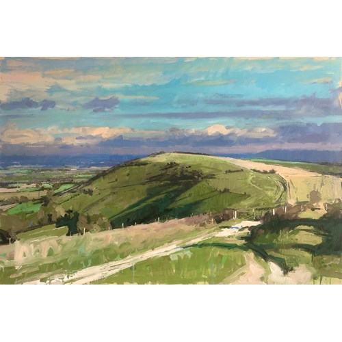 South Downs path, 2025